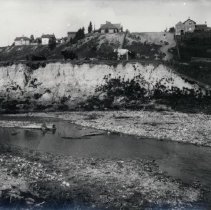 Cattle standing on creek bank.